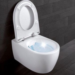 comfortabele toilet bij Iconium