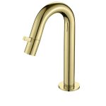 best-design-nancy-macine-toiletkraan-keramisch-binnenwerk-21cm-goud-mat-sw383215