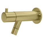 best-design-spador-nancy-wand-toiletkraan-mat-goud-sw369961